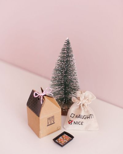 Naughty or Nice Miniature Gift Storage Bag